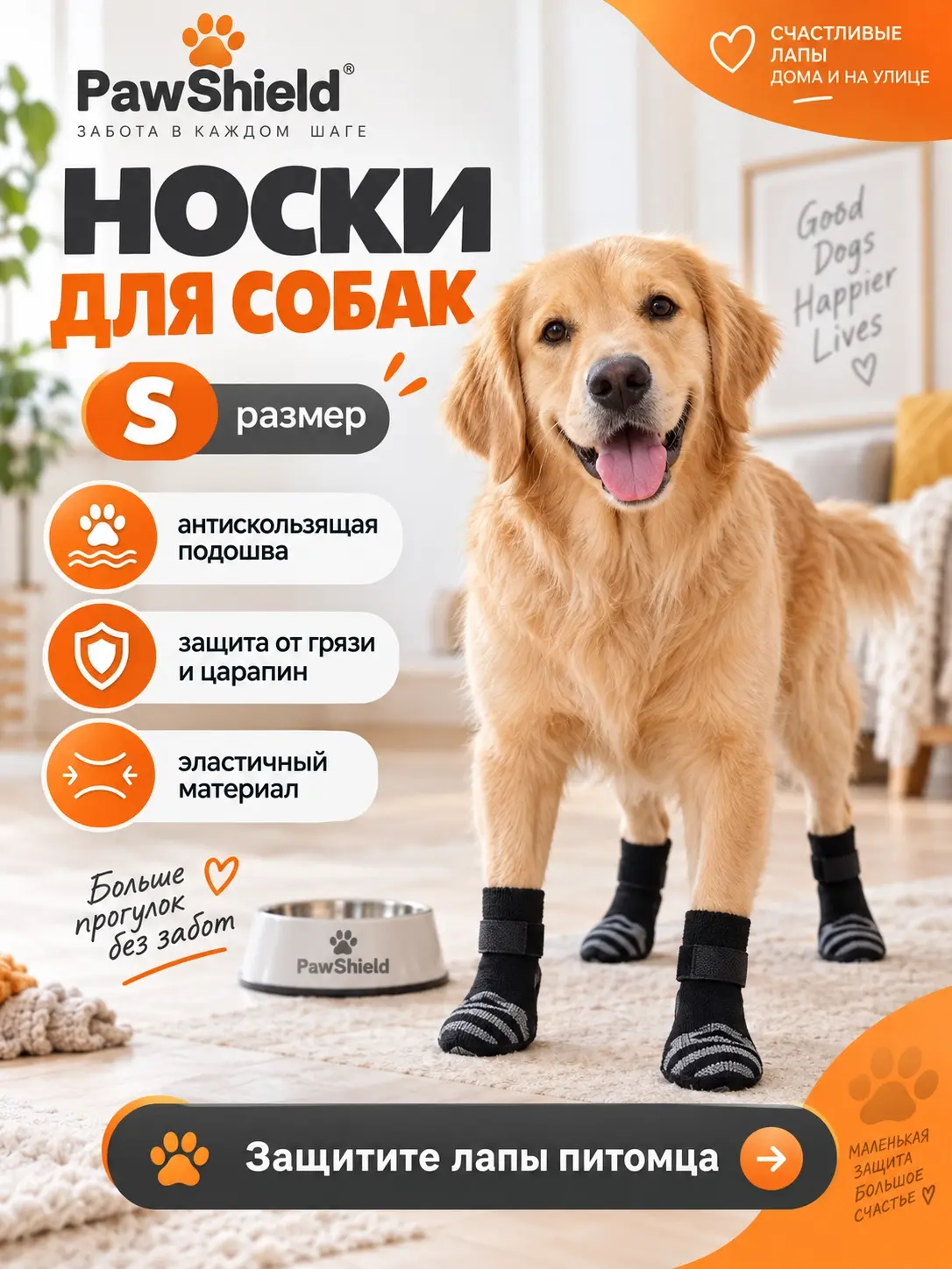 Инфографика защитных носков для собак